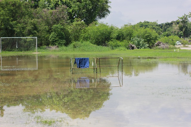 汲取教训再 汲取教训再