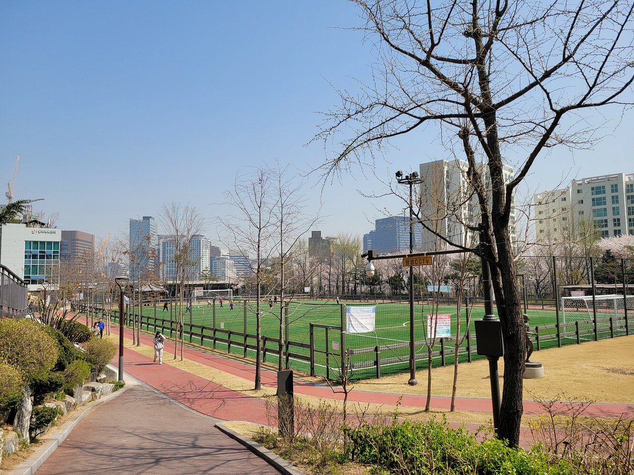 的目光和思 的目光和思