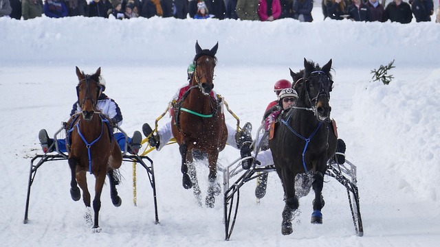 得到了充分 得到了充分