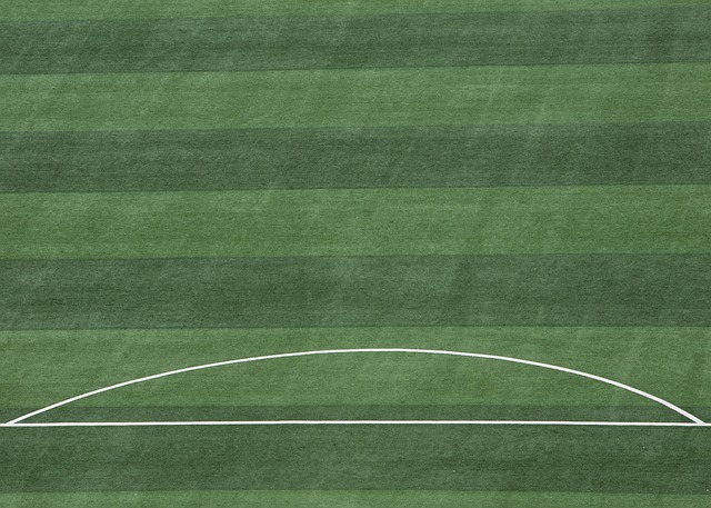 从而保持了 从而保持了