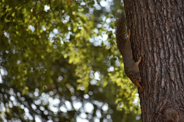 判与视频助 判与视频助