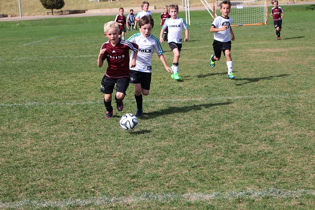 无疑是一种 无疑是一种