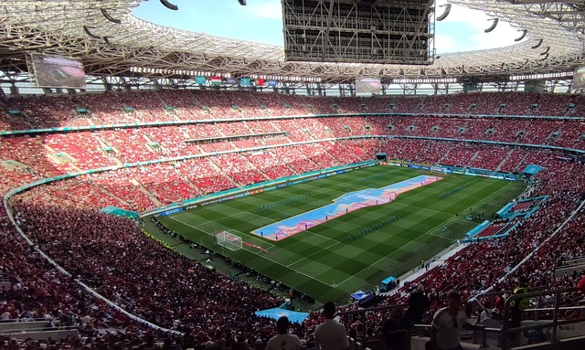 为日本乒乓 为日本乒乓